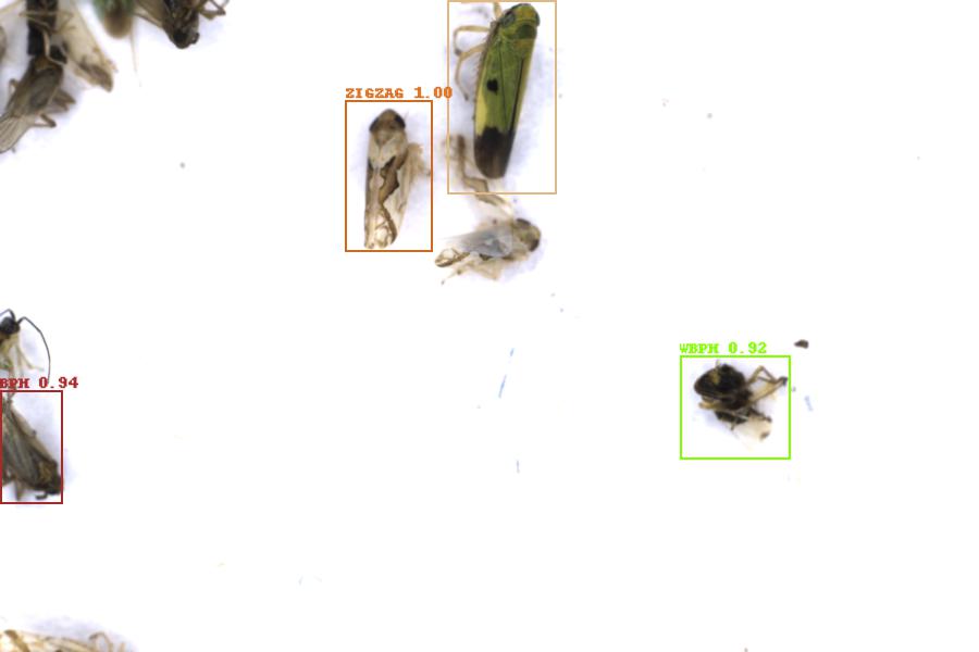 Image 9